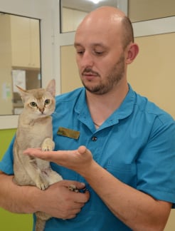 Лікар Анестезіолог, Кардіолог, Терапевт Льодін Олексій Володимирович на Doc.ua