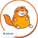 Рижий Кіт на Заболотнього