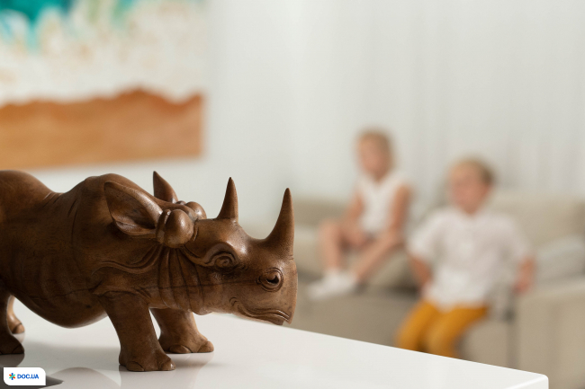 RHINO Clinica (РІНО Клініка), медичний центр