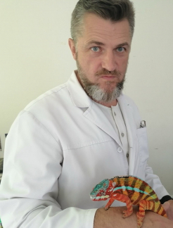 Врач Аллерголог, Иммунолог Коцаренко Вадим Владимирович на Doc.ua