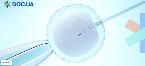 5 міфів про ЕКЗ, у які ви вірили